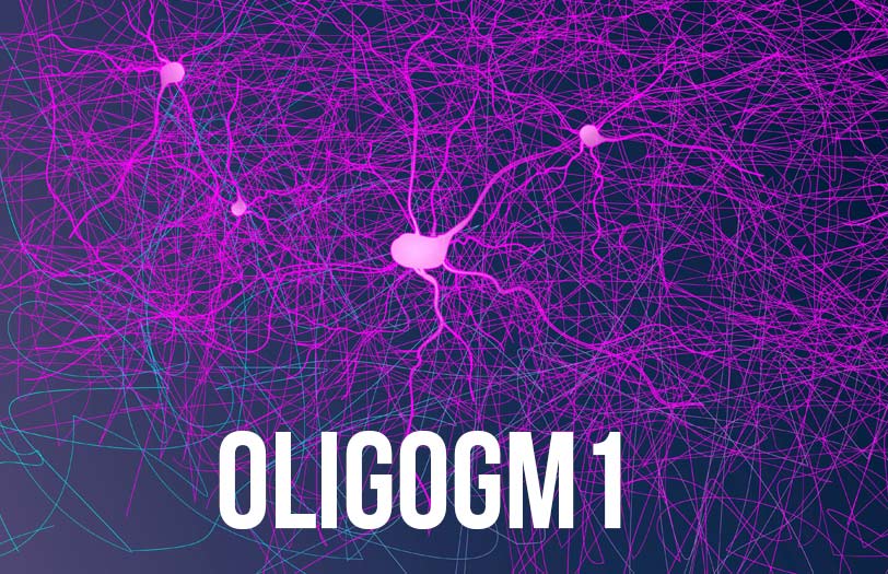 OligoGM1